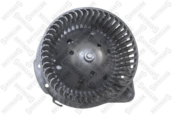 2999030sx-stellox20200130-11548-nl8101_original