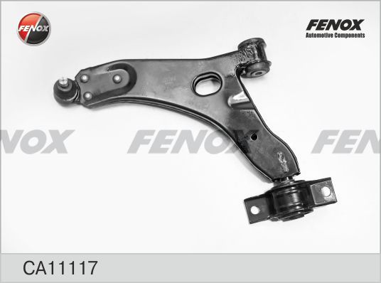 Ca11117-fenox20200130-11548-1y78i16_original
