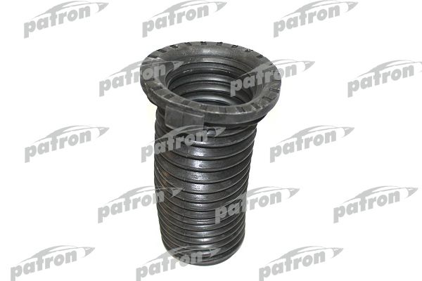 Pse6237-patron20200220-18627-g79rjf_original