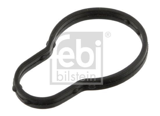 36166-febi20200219-27360-7uyayt_original