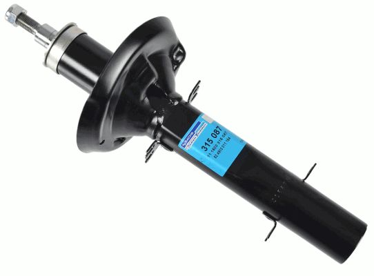 315087-sachs20200130-11548-jo4suo_original