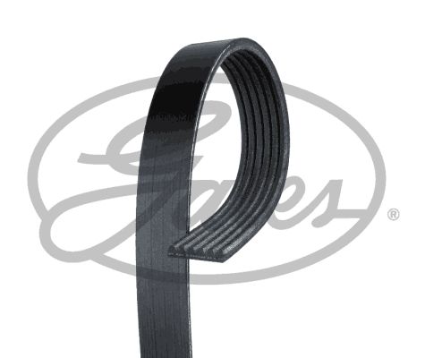 6pk2193-gates20200222-14760-yde2ek_original