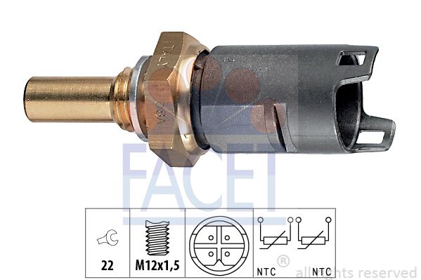 73274-facet20200224-14760-30clod_original