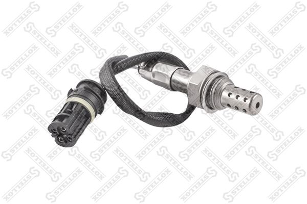 2000016sx-stellox20200224-14760-1hx09z5_original
