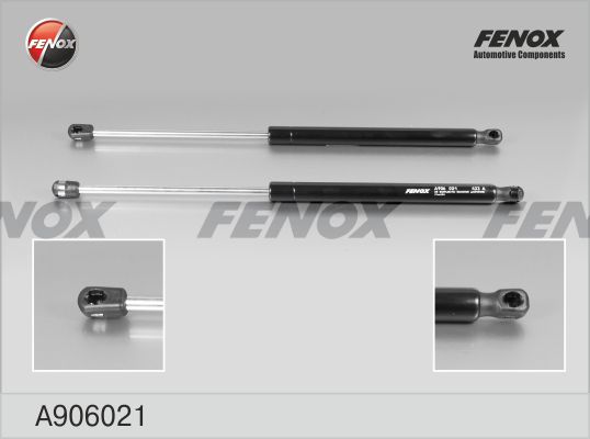 A906021-fenox20200130-11548-1mglpar_original