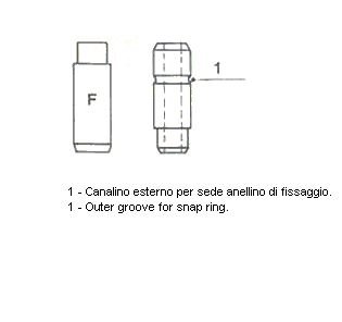 012586-metelli20200130-11548-1agz8l_original