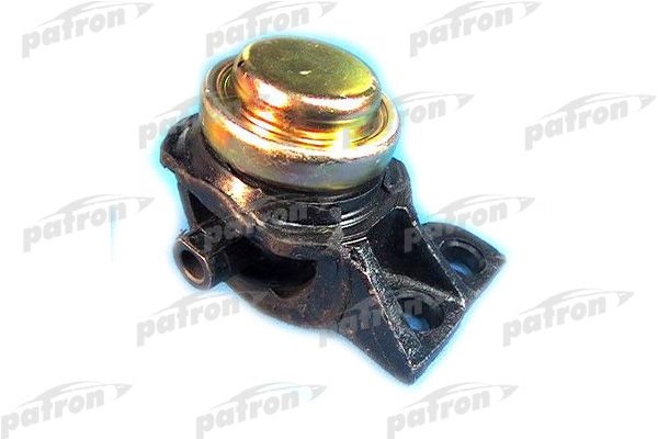 Pse3570-patron20200302-19460-1glsrax_original