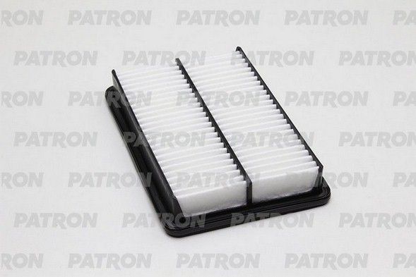 Pf1987-patron20200130-1016-14vlcr8_original