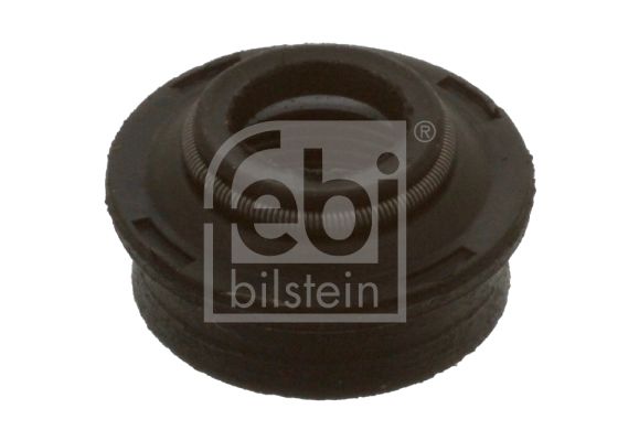03363-febi20200201-8384-fwxqm7_original