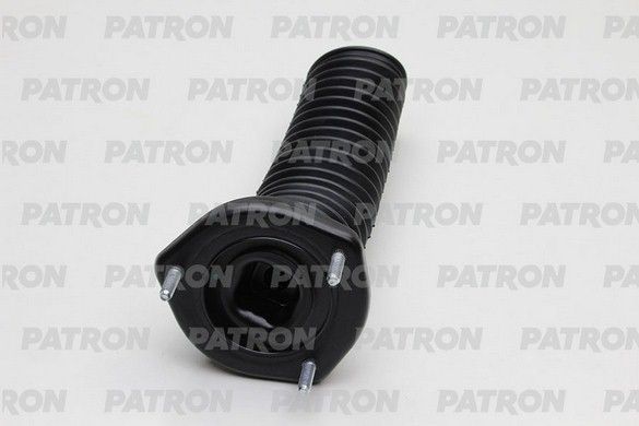 Pse4318-patron20200130-11548-wztjjv_original