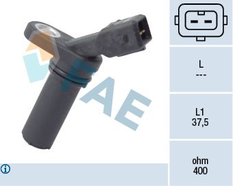 79179-fae20200202-8384-1gzt4us_original