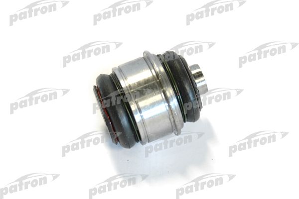 Pse1166-patron20200130-1016-zpbov3_original