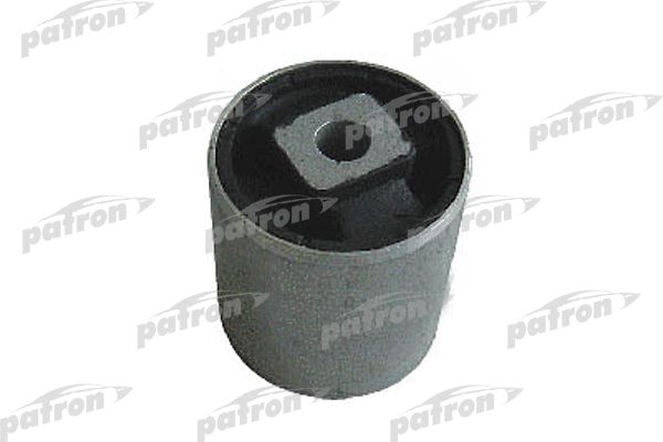 Pse1051-patron20200130-1016-16ecd8a_original