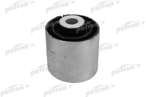 Pse10339-patron20200130-1016-tdt720_original