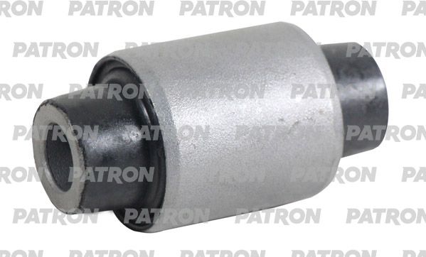 Pse10364-patron20200130-1016-tdbapl_original