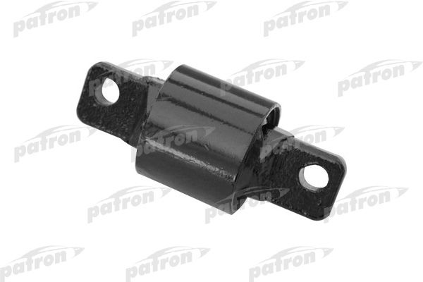 Pse1943-patron20200130-1016-1694kav_original