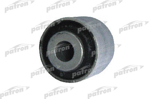 Pse1031-patron20200204-8384-r5hpwv_original