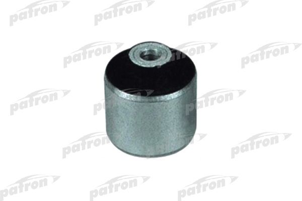 Pse1288-patron20200204-8384-12ka9ea_original