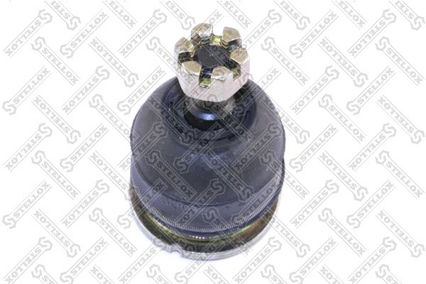 5237007asx-stellox20200130-1016-odgxkv_original