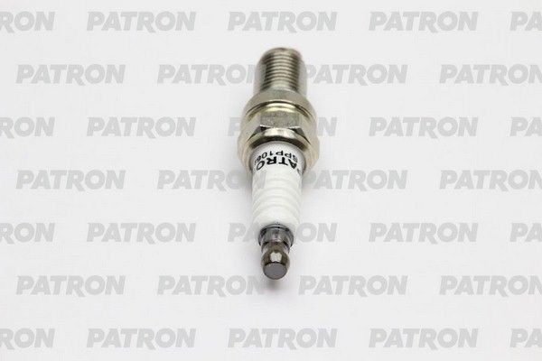 Spp106i-patron20200225-14760-1llp2fr_original