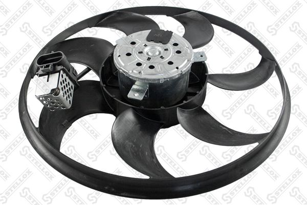 2999014sx-stellox20200130-1016-4x6clh_original