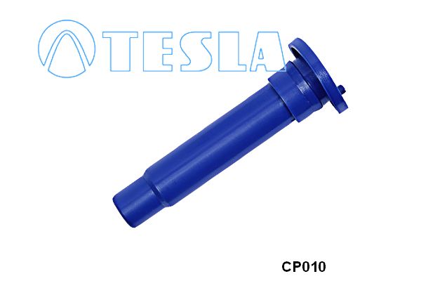 Cp010-tesla20200227-1155-1sd7xbw_original