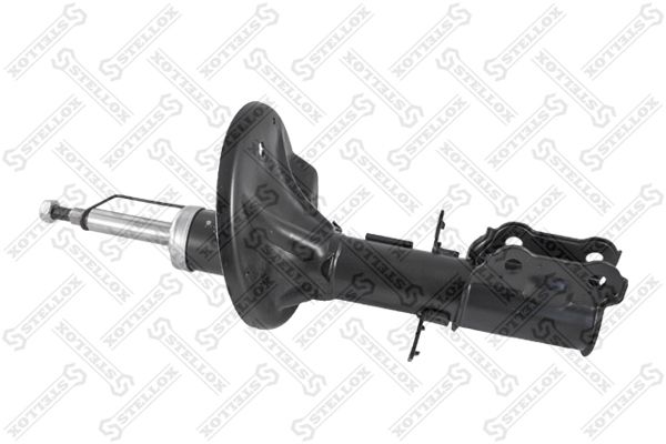 42039089sx-stellox20200213-13575-1mrb8c_original