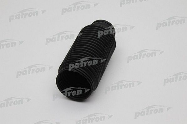Pse6307-patron20200213-13575-zqaznq_original