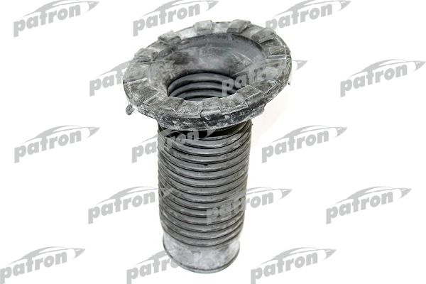 Pse6195-patron20200214-23933-1pznxdn_original