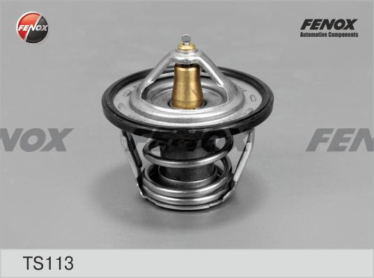 Ts113-fenox20200130-11548-10zkciv_original