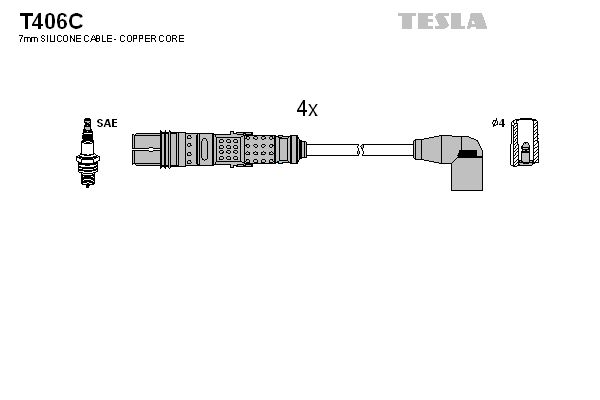 T406c-tesla20200301-23120-1outb0x_original