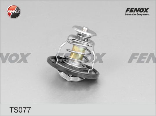 Ts077-fenox20200229-23120-hm0zgm_original