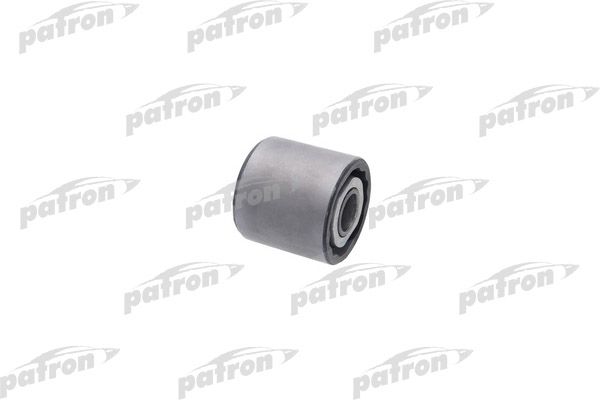 Pse10450-patron20200302-19460-1xqvu0e_original