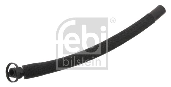 33113-febi20200228-467-88w0vw_original