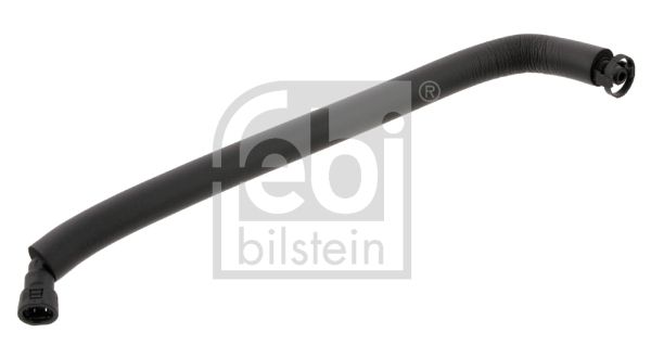 36031-febi20200228-467-1o1b9pl_original
