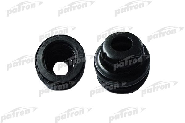Pse4431-patron20200222-14760-15avbpk_original