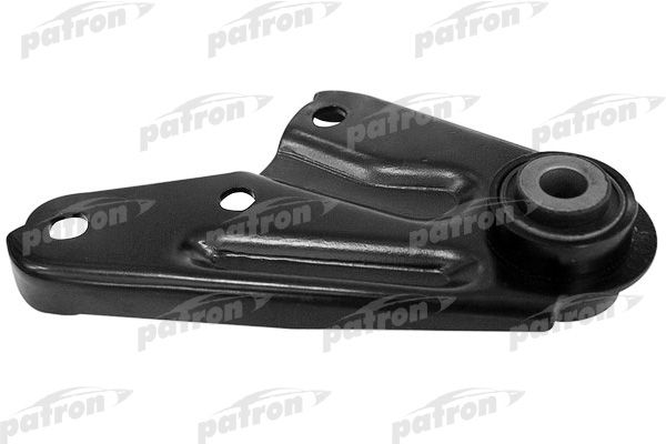 Pse3303-patron20200130-11548-jpeon1_original