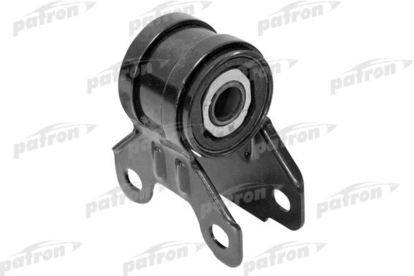 Pse10351-patron20200214-23933-13clfbn_original