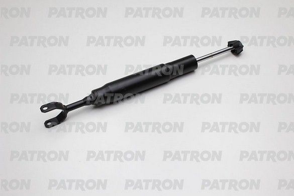Psa341207-patron20200212-13575-idwkbs_original