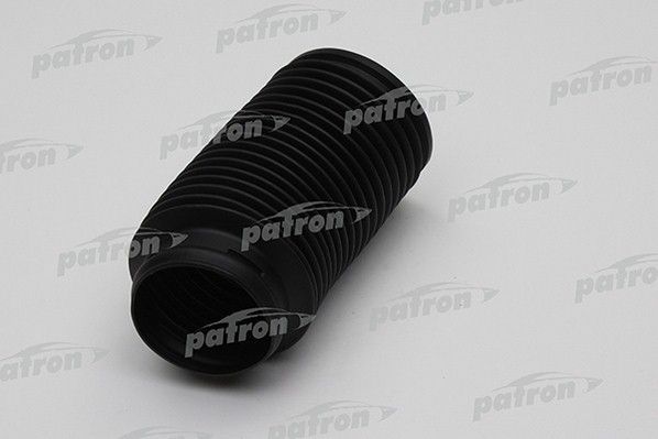 Pse6296-patron20200228-467-m21l2e_original