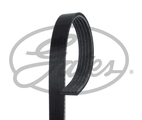 5pk1790-gates20200131-1016-lrkgo_original