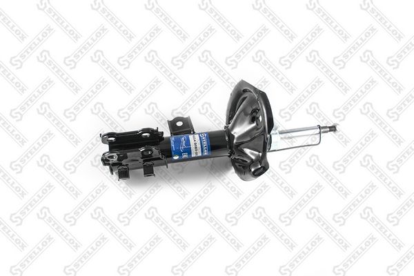 42140083sx-stellox20200131-1016-1r22vkd_original