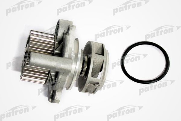 Pwp1174-patron20200131-1016-ie302z_original