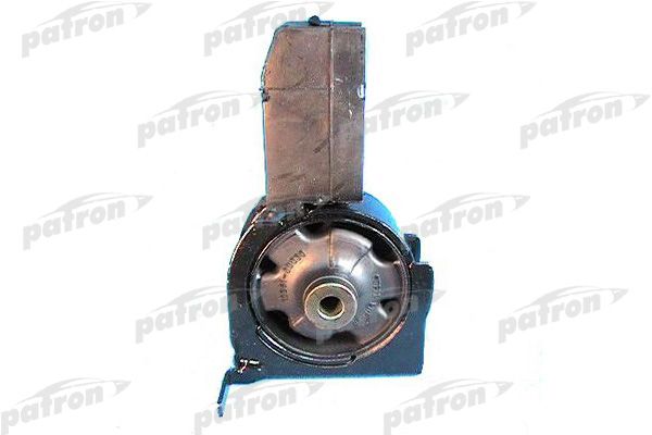 Pse3310-patron20200131-8384-11524a4_original