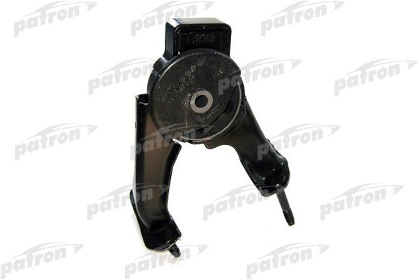 Pse3646-patron20200131-8384-1jbvgov_original