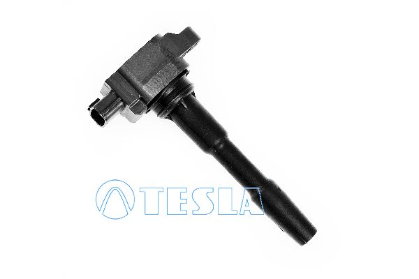 Cl155-tesla20200222-14760-vanv1z_original