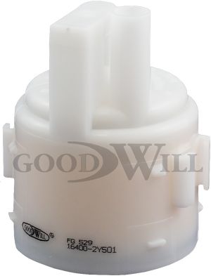 Fg529ll-goodwill20200216-1300-3cr2x2_original